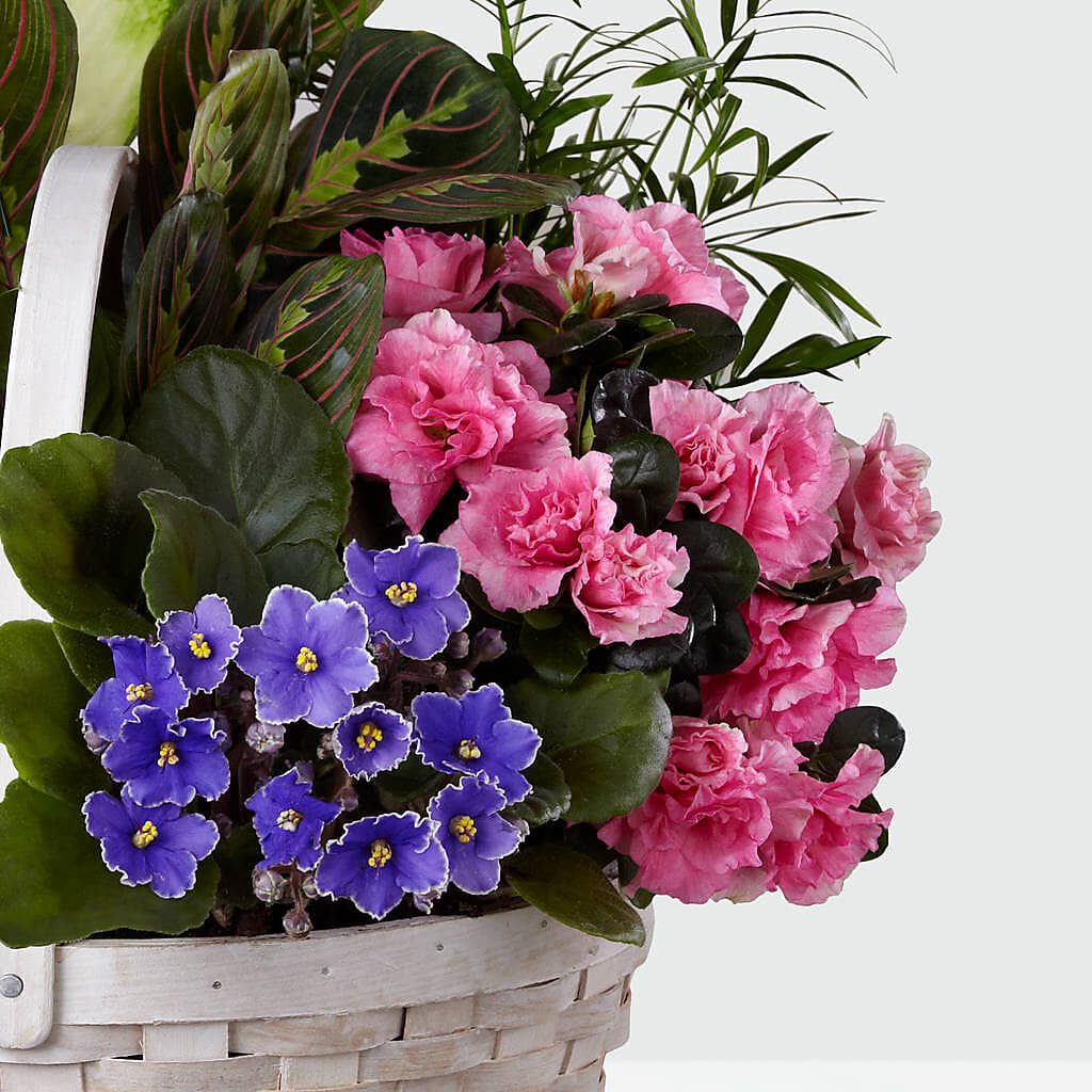 Peaceful Garden Planter – POTRATZ FLORAL SHOP & GREENHOUSES, Erie PA