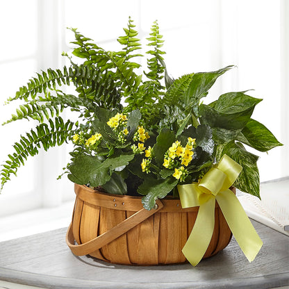 Always Dear Dishgarden – POTRATZ FLORAL SHOP & GREENHOUSES, Erie PA