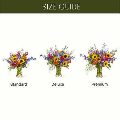 Rays of Life Bouquet – POTRATZ FLORAL SHOP & GREENHOUSES, Erie PA