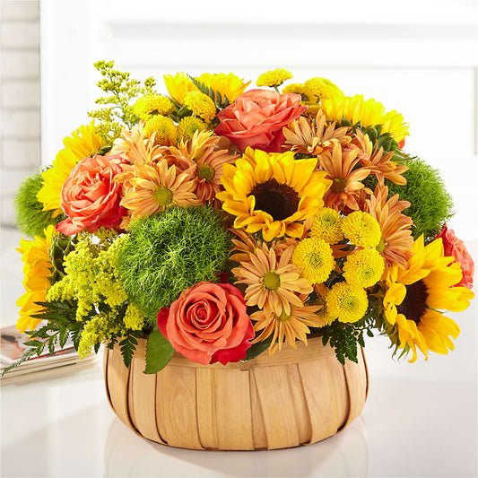 Harvest Sunflower Basket – POTRATZ FLORAL SHOP & GREENHOUSES, Erie PA