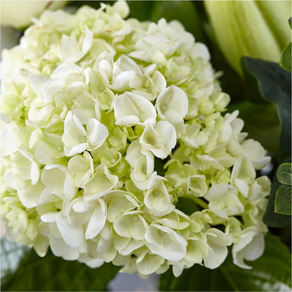 Classic Ivory – A Florist Original – POTRATZ FLORAL SHOP & GREENHOUSES, Erie PA