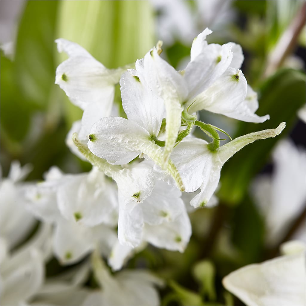 Classic Ivory – A Florist Original – POTRATZ FLORAL SHOP & GREENHOUSES, Erie PA
