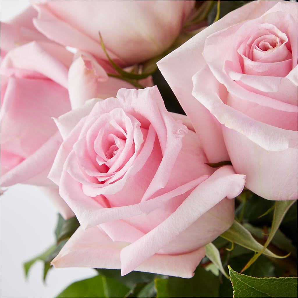 Picture Perfect Pink Rose Bouquet – POTRATZ FLORAL SHOP & GREENHOUSES, Erie PA