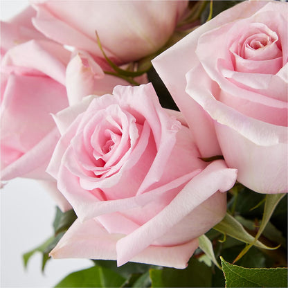 Picture Perfect Pink Rose Bouquet – POTRATZ FLORAL SHOP & GREENHOUSES, Erie PA