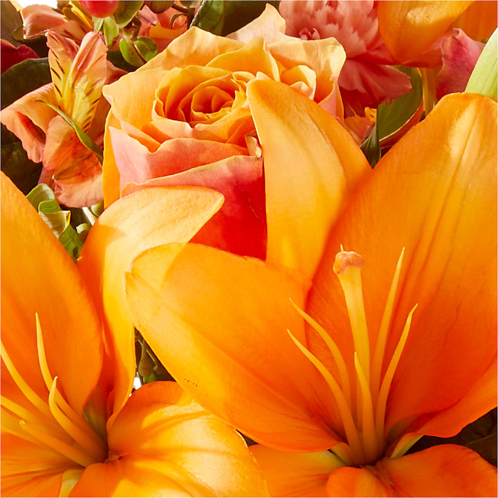Afternoon Light Bouquet – POTRATZ FLORAL SHOP & GREENHOUSES, Erie PA