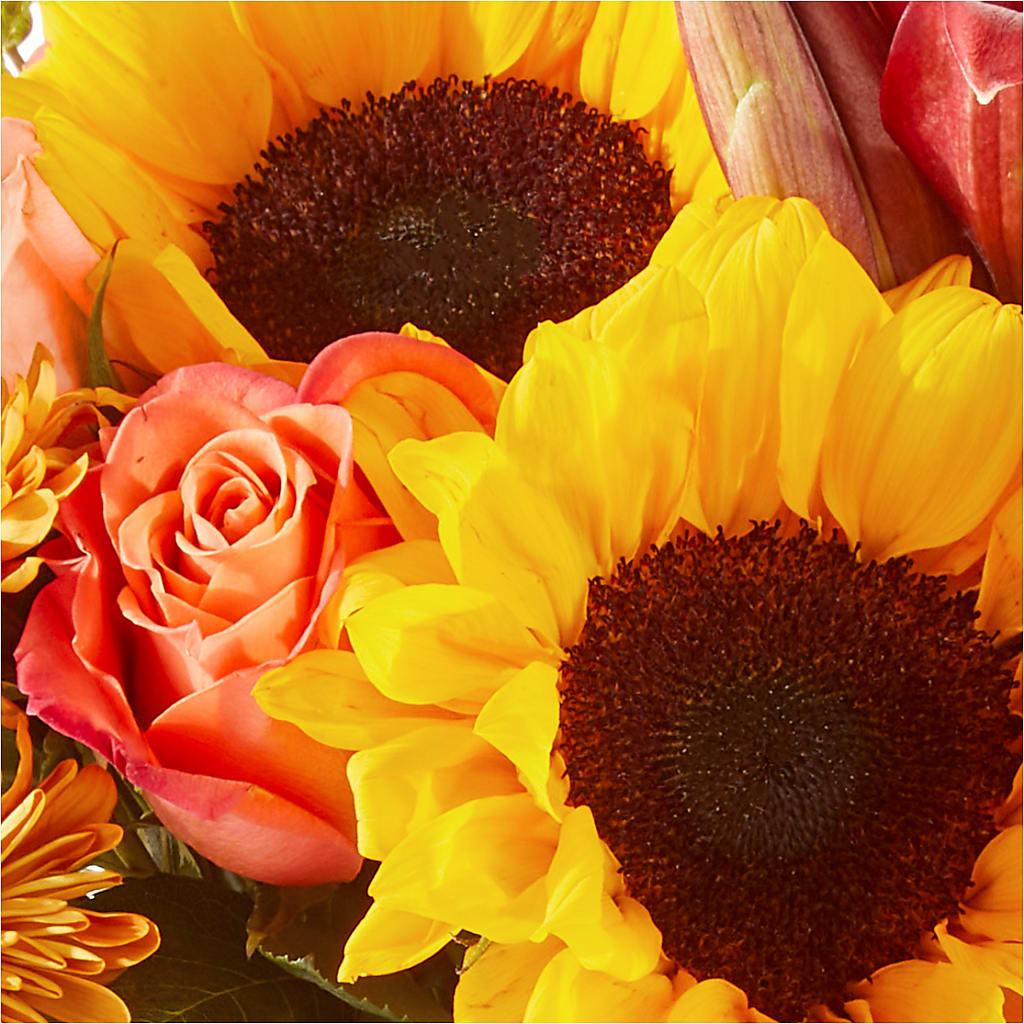 Acorn Lane Bouquet – POTRATZ FLORAL SHOP & GREENHOUSES, Erie PA