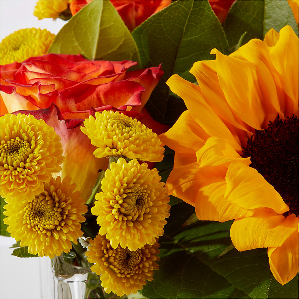 Picnic in the Park Bouquet – POTRATZ FLORAL SHOP & GREENHOUSES, Erie PA