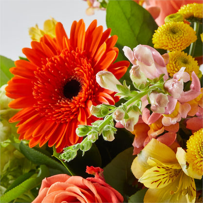 Autumn Sunshine Bouquet – POTRATZ FLORAL SHOP & GREENHOUSES, Erie PA