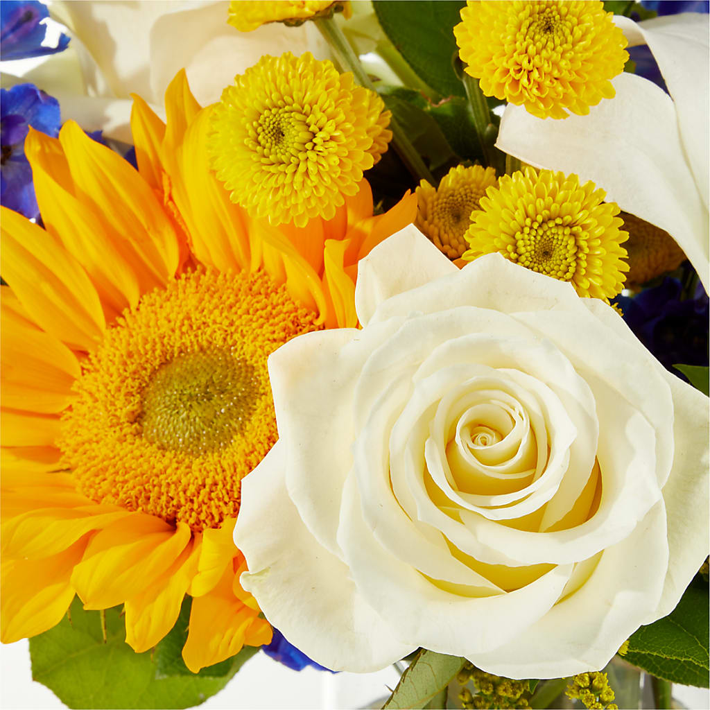 Stargazing Bouquet – POTRATZ FLORAL SHOP & GREENHOUSES, Erie PA