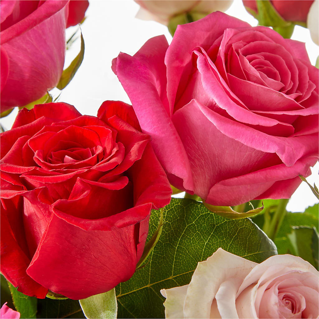 Charming Rose Bouquet – POTRATZ FLORAL SHOP & GREENHOUSES, Erie PA