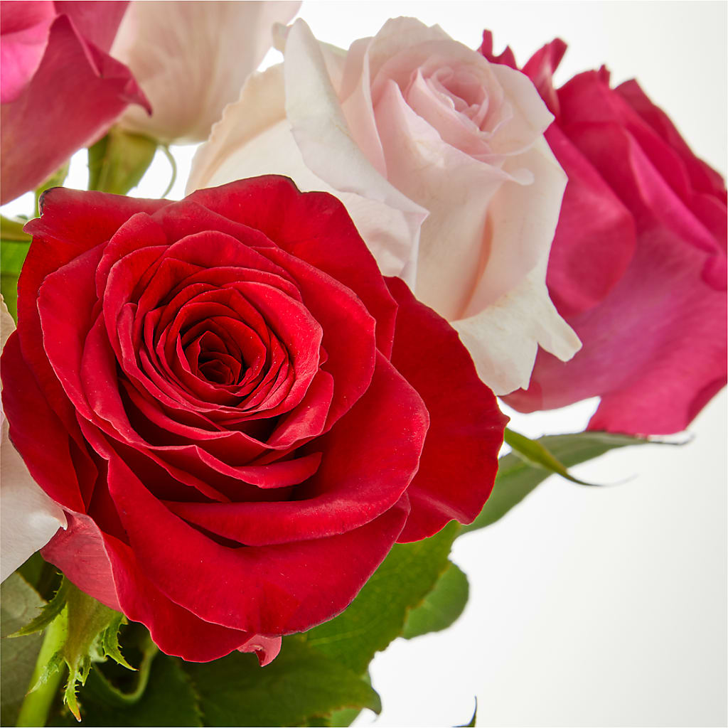 Charming Rose Bouquet – POTRATZ FLORAL SHOP & GREENHOUSES, Erie PA
