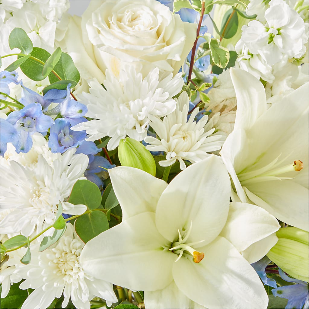 Peace of Mind Bouquet – POTRATZ FLORAL SHOP & GREENHOUSES, Erie PA
