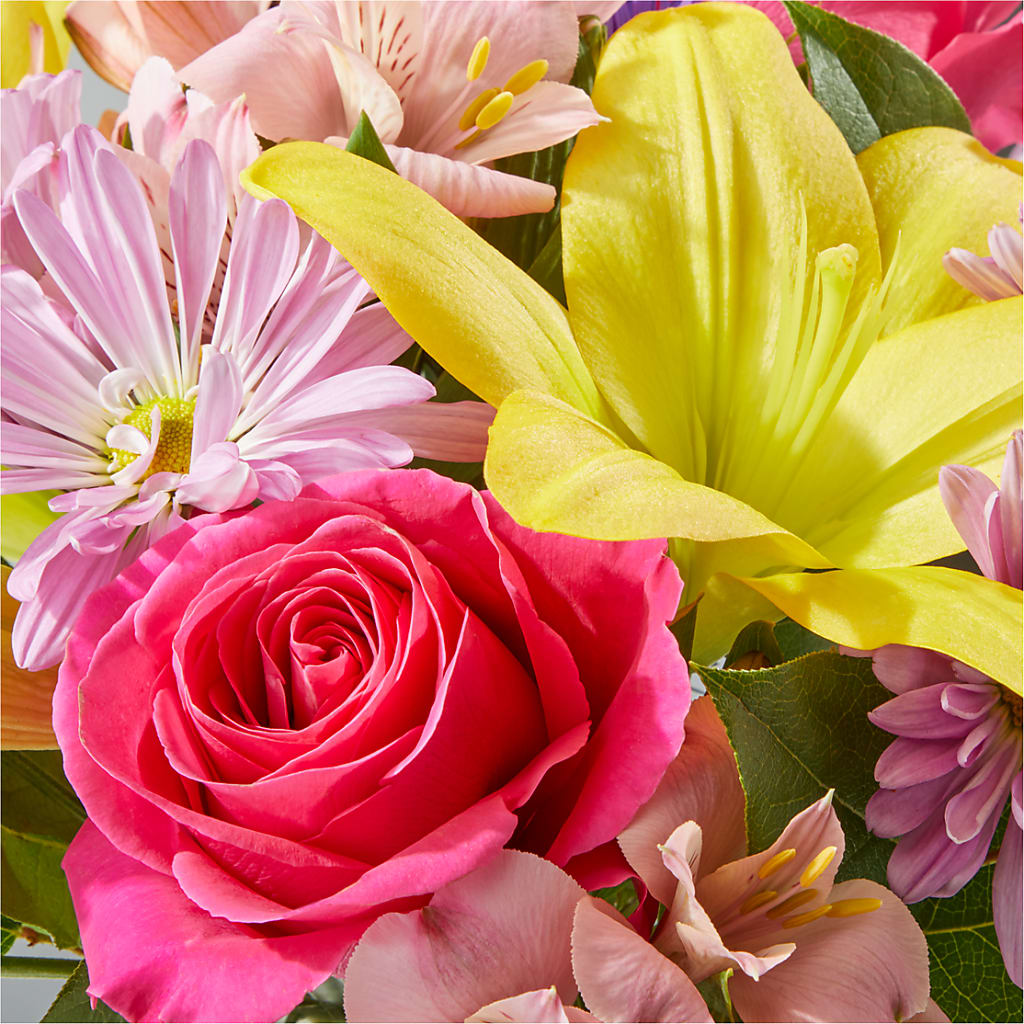 Sprinkles Bouquet – POTRATZ FLORAL SHOP & GREENHOUSES, Erie PA
