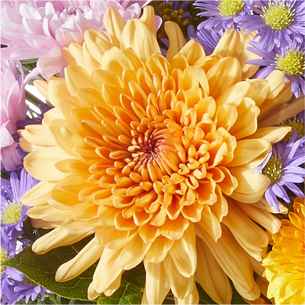 Countryside Bouquet – POTRATZ FLORAL SHOP & GREENHOUSES, Erie PA