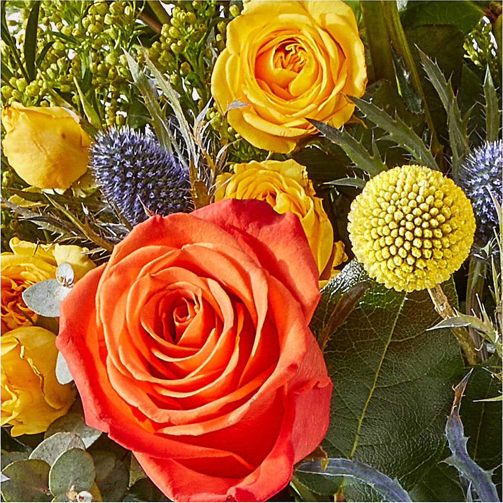 Disco Bouquet – POTRATZ FLORAL SHOP & GREENHOUSES, Erie PA