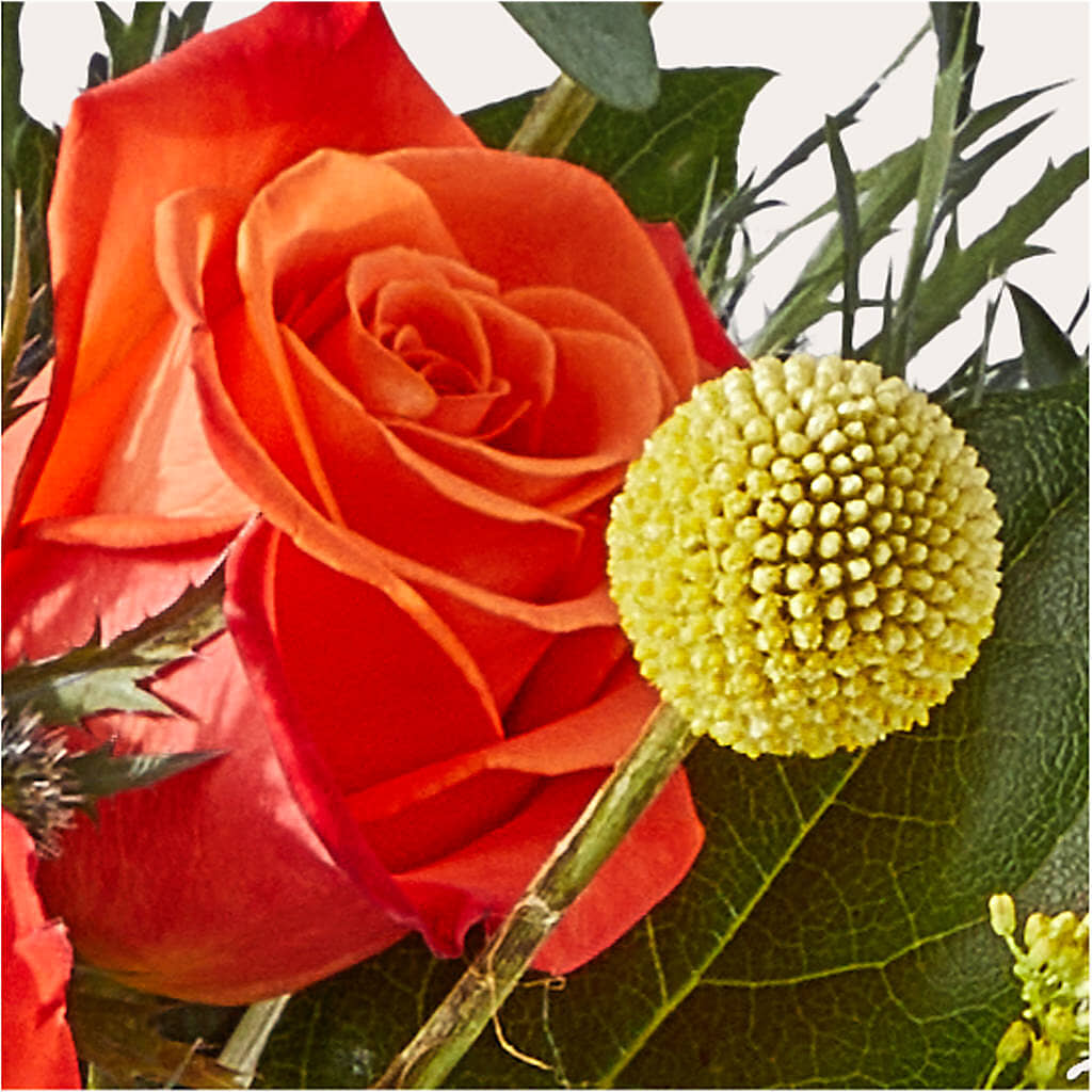 Disco Bouquet – POTRATZ FLORAL SHOP & GREENHOUSES, Erie PA