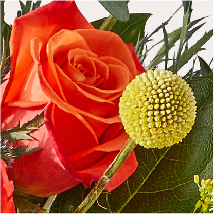 Disco Bouquet – POTRATZ FLORAL SHOP & GREENHOUSES, Erie PA