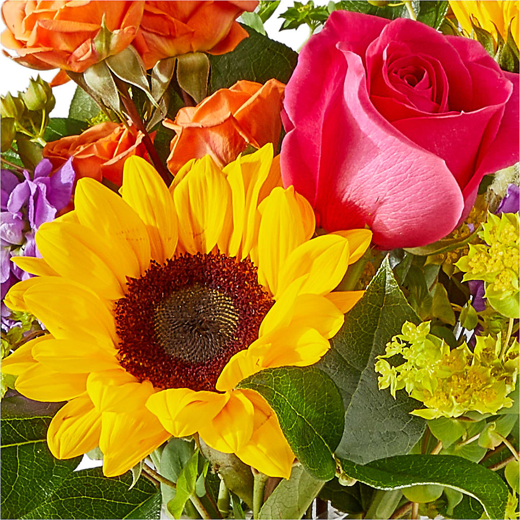 Vibrant Greetings Bouquet – POTRATZ FLORAL SHOP & GREENHOUSES, Erie PA