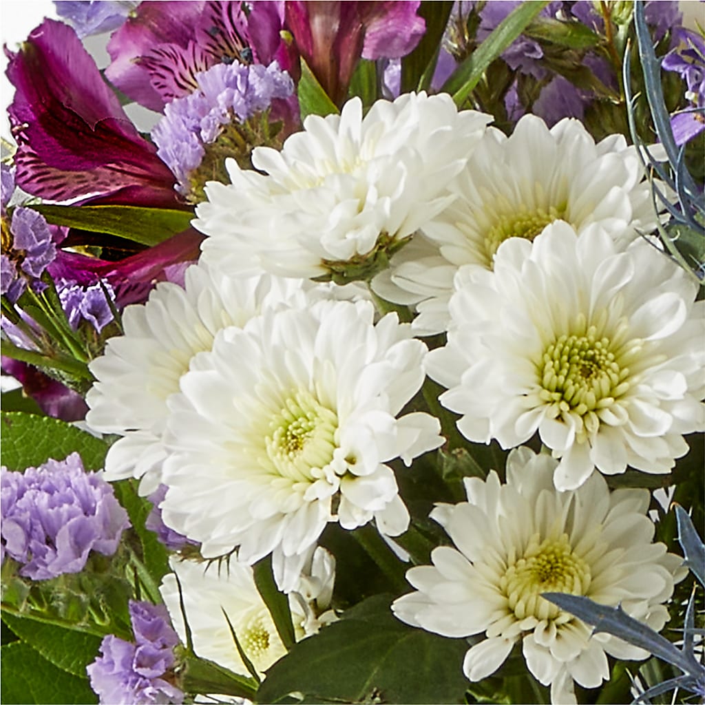 Shooting Star Bouquet – POTRATZ FLORAL SHOP & GREENHOUSES, Erie PA