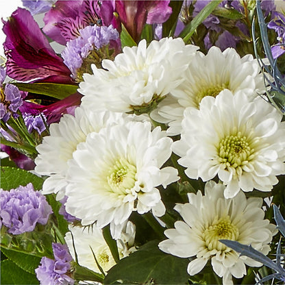 Shooting Star Bouquet – POTRATZ FLORAL SHOP & GREENHOUSES, Erie PA