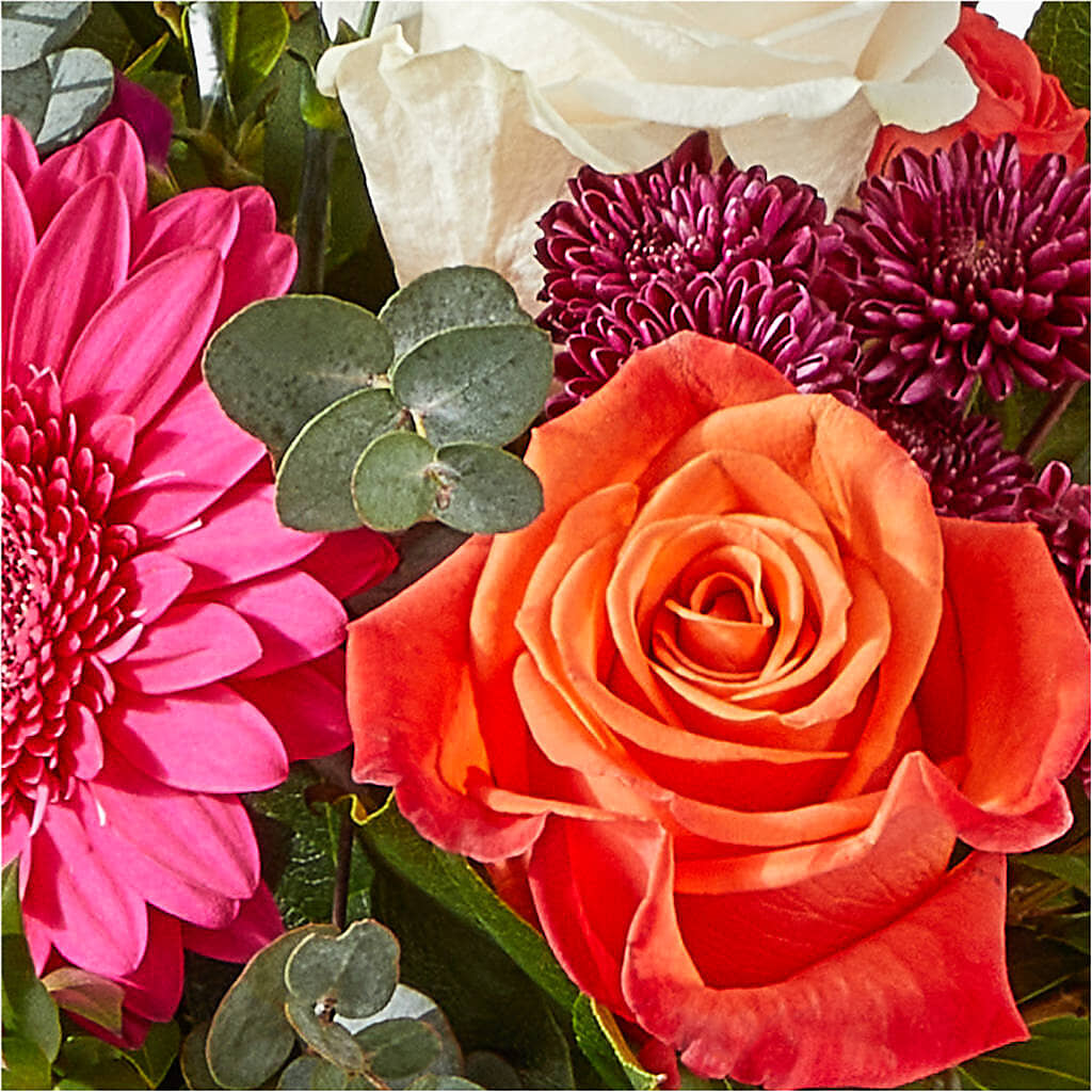 Smell the Roses Bouquet – POTRATZ FLORAL SHOP & GREENHOUSES, Erie PA