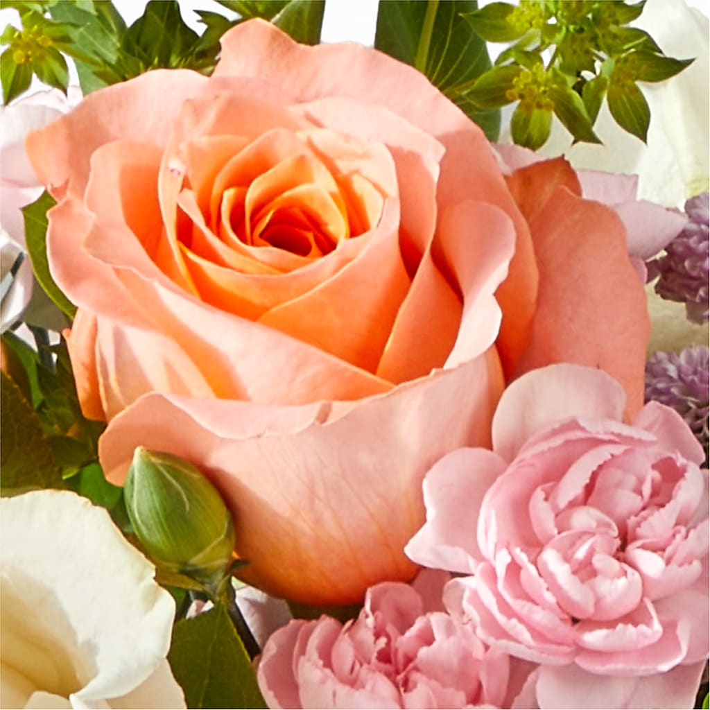 French Market Bouquet – POTRATZ FLORAL SHOP & GREENHOUSES, Erie PA