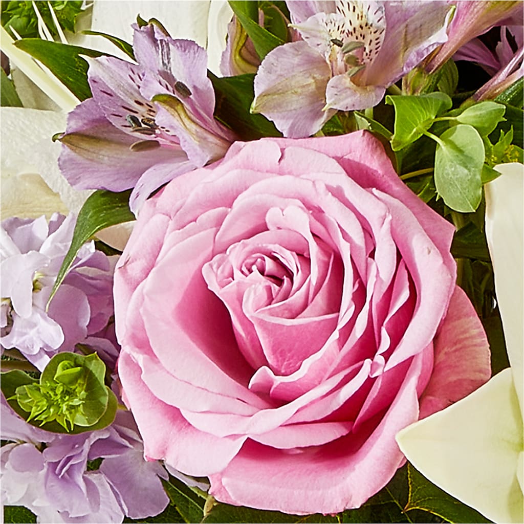 Daydreamer Bouquet – POTRATZ FLORAL SHOP & GREENHOUSES, Erie PA