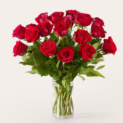 The One Red Rose Bouquet – POTRATZ FLORAL SHOP & GREENHOUSES, Erie PA