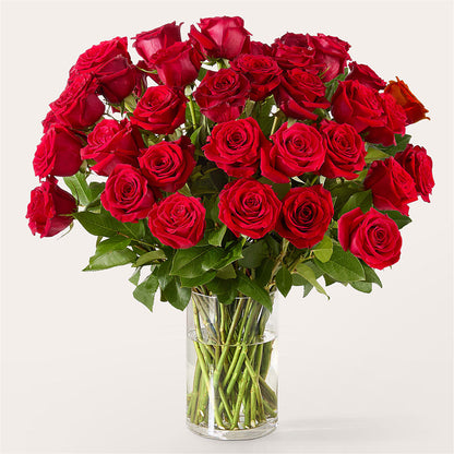 The One Red Rose Bouquet – POTRATZ FLORAL SHOP & GREENHOUSES, Erie PA