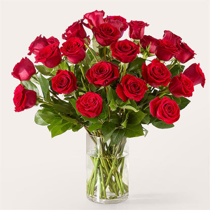 The One Red Rose Bouquet – POTRATZ FLORAL SHOP & GREENHOUSES, Erie PA