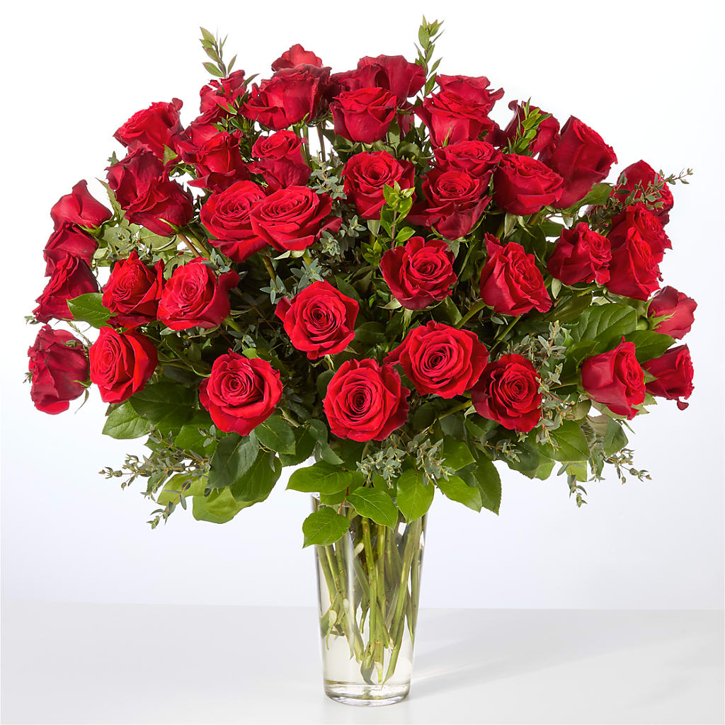 Forever Yours Fifty Stem Red Rose Bouquet – POTRATZ FLORAL SHOP & GREENHOUSES, Erie PA