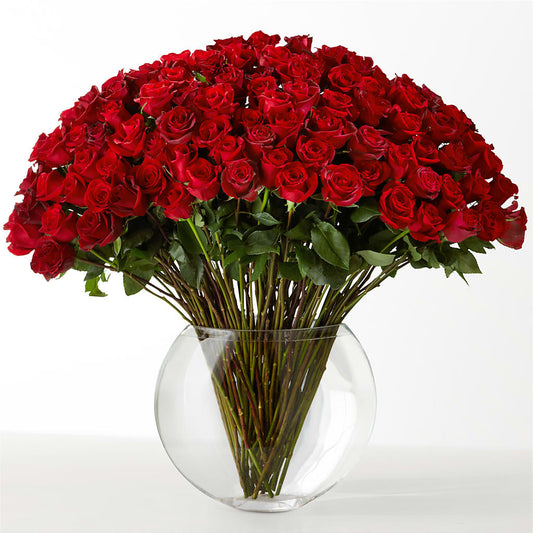 The Idealist – POTRATZ FLORAL SHOP & GREENHOUSES, Erie PA