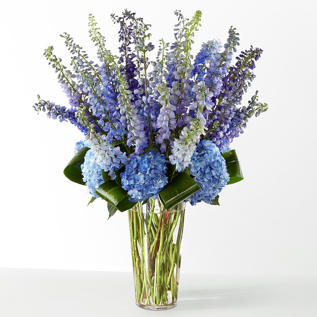 The Editorial – POTRATZ FLORAL SHOP & GREENHOUSES, Erie PA