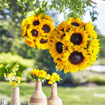 Sublime Garden Hanging Arrangement – POTRATZ FLORAL SHOP & GREENHOUSES, Erie PA
