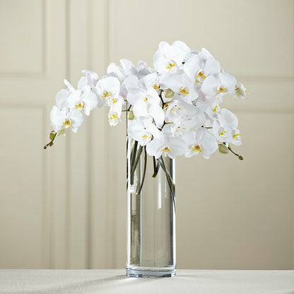 White Phalaenopsis Bouquet – POTRATZ FLORAL SHOP & GREENHOUSES, Erie PA