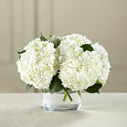 White Hydrangea Bouquet – POTRATZ FLORAL SHOP & GREENHOUSES, Erie PA